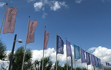 开云体育登录平台